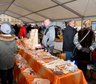  DSC485
