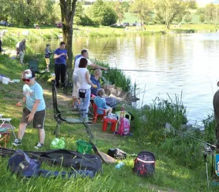 46393-bi