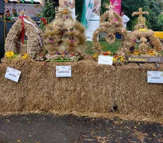 456707280 839248178344832 7794434459812873164 