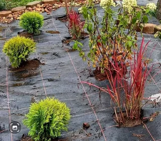 245865885 4741750315843342 5281541797366101026 n (002