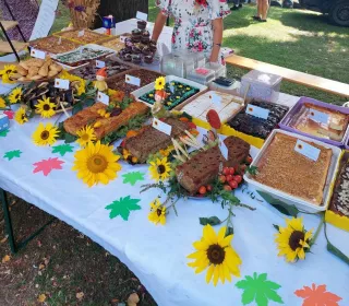 456108472 1180705503256082 4244582715069456900 