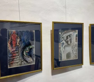 fc044cf67bcf572bf9b55485cc450742