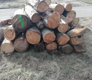 fe9c74c2fc6615ecc033b678d668ed8e