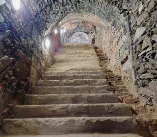 56742582 261562618082778 2926798244019175424 