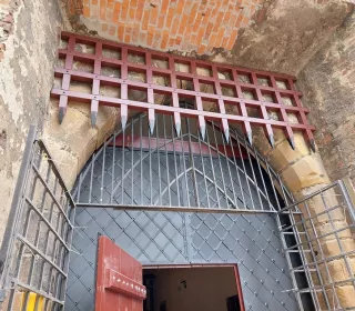 56742582 261562618082778 2926798244019175424 