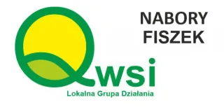 QWSI