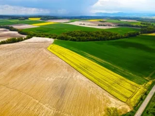 1DJI_0495 obróbka 1