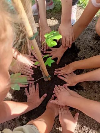 288740057_538718824661594_2346972222342375881_n