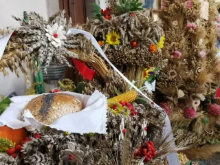 241013072_976205163174221_6402747612111670670_n