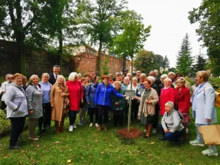 242689842_4542482319145586_6966431562318066028_n