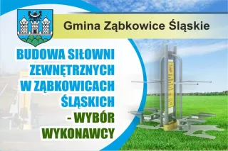 SIŁOWNIE WYBOR WYKONAWCY