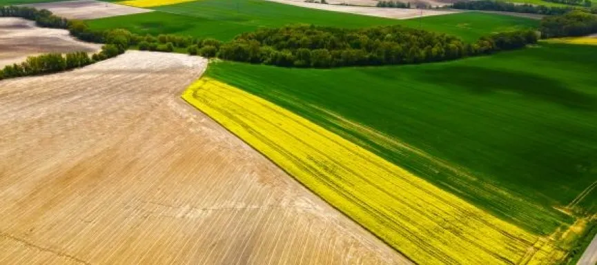 1DJI_0495 obróbka 1