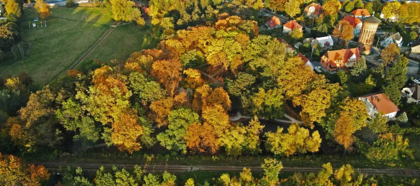 DJI_0376 park z oczkiem wodnym