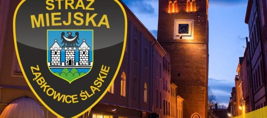 Straż-Miejska-Ząbkowice-Śląskie-podsumowanie-2015-roku