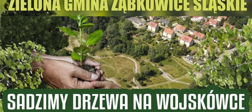 sadzenie na wosjkowce kafelek