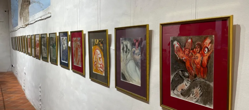 WhatsApp Image 2024-08-05 at 08