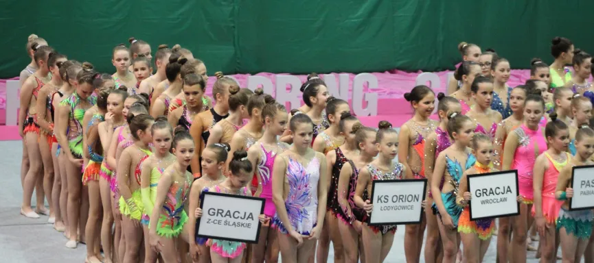 56907727_598974743954165_7567335408904699904_n