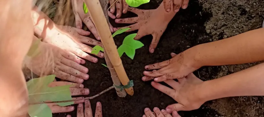 288740057_538718824661594_2346972222342375881_n