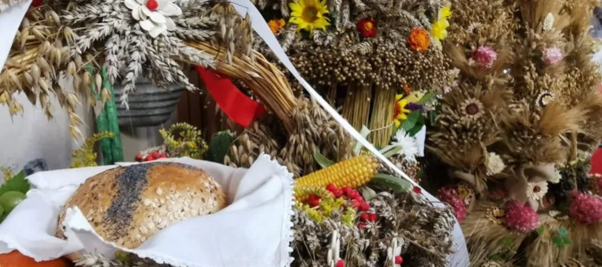 241013072_976205163174221_6402747612111670670_n