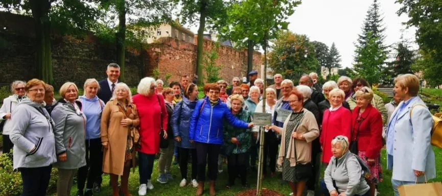 242689842_4542482319145586_6966431562318066028_n