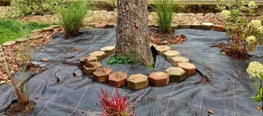 245287780_4741748889176818_2604847748551995366_n (002)